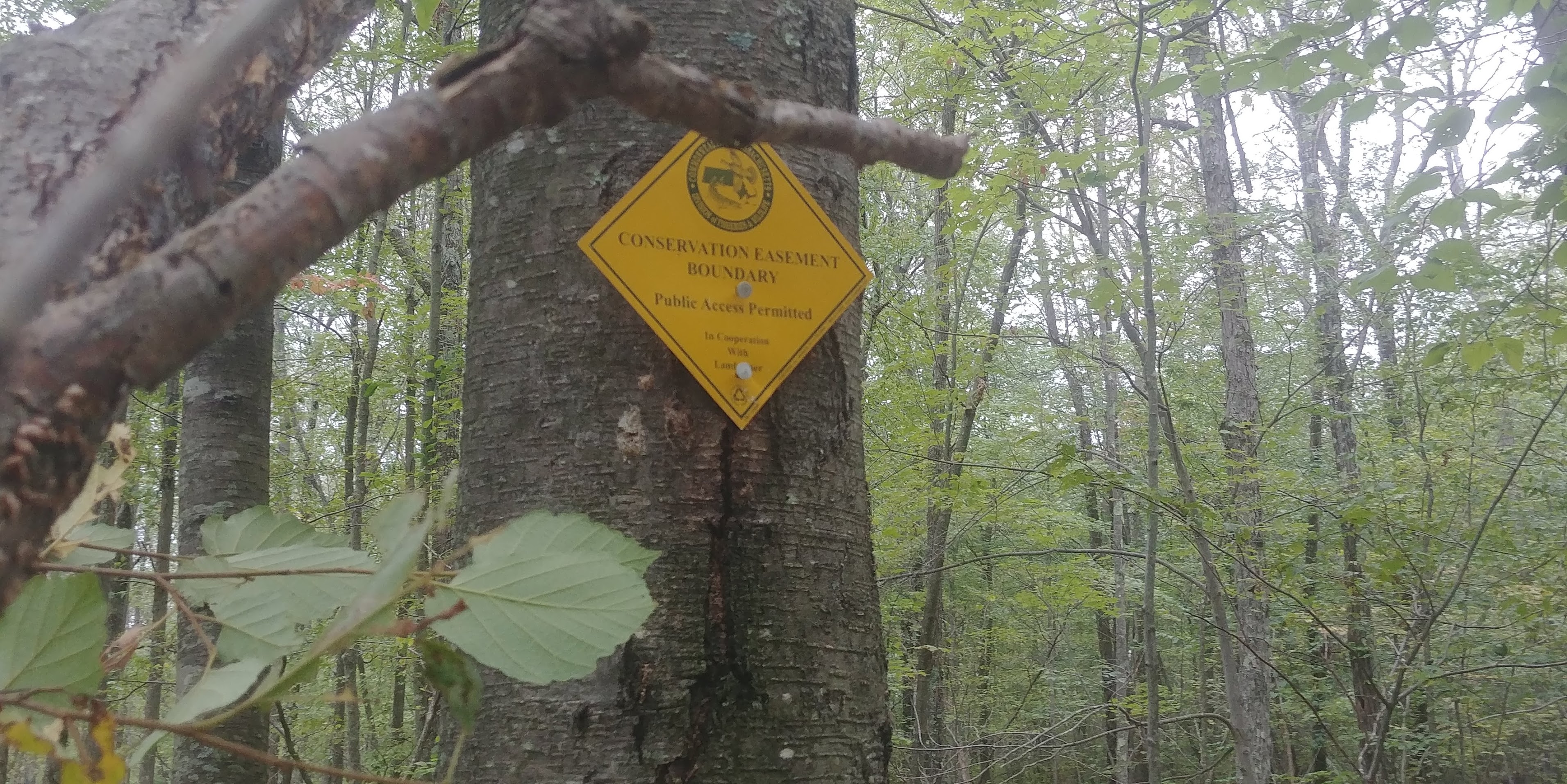 Inman Hill site photo from 2017.